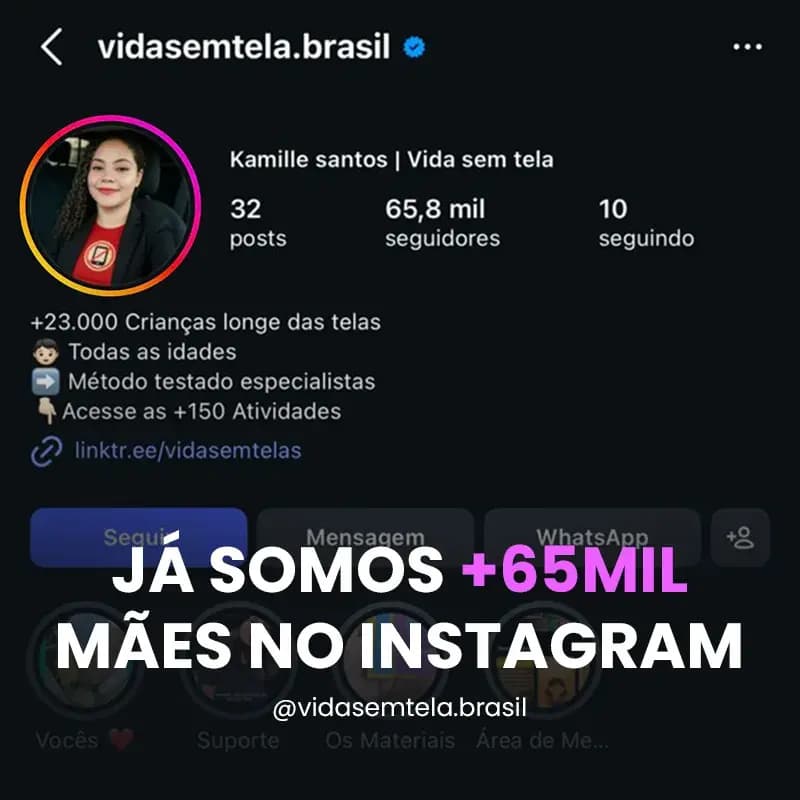 Siga no Instagram - Vida Sem Telas